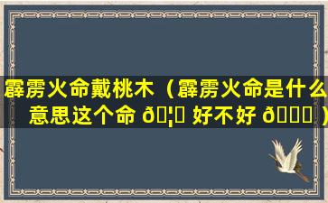 霹雳火命戴桃木（霹雳火命是什么意思这个命 🦆 好不好 🐘 ）